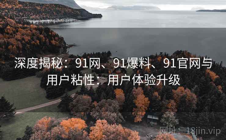 深度揭秘:91网、91爆料、91官网与用户粘性:用户体验升级 深度揭秘:91网、91爆料、91官网与用户粘性:用户体验升级