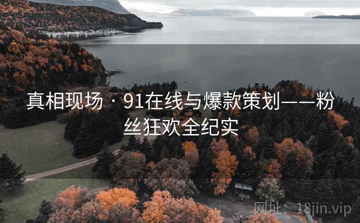 真相现场 · 91在线与爆款策划——粉丝狂欢全纪实 真相现场 · 91在线与爆款策划——粉丝狂欢全纪实