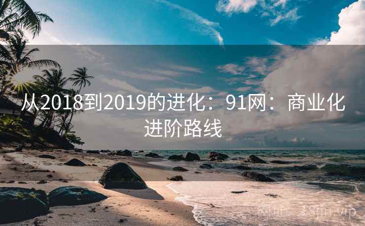 从2018到2019的进化:91网:商业化进阶路线 从2018到2019的进化:91网:商业化进阶路线