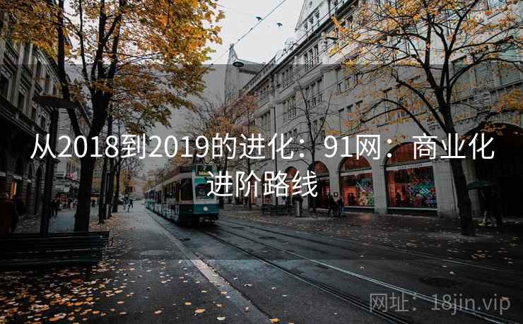 从2018到2019的进化:91网:商业化进阶路线 从2018到2019的进化:91网:商业化进阶路线