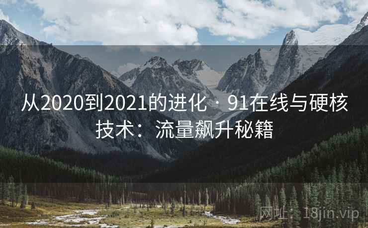 从2020到2021的进化 · 91在线与硬核技术:流量飙升秘籍 从2020到2021的进化 · 91在线与硬核技术:流量飙升秘籍