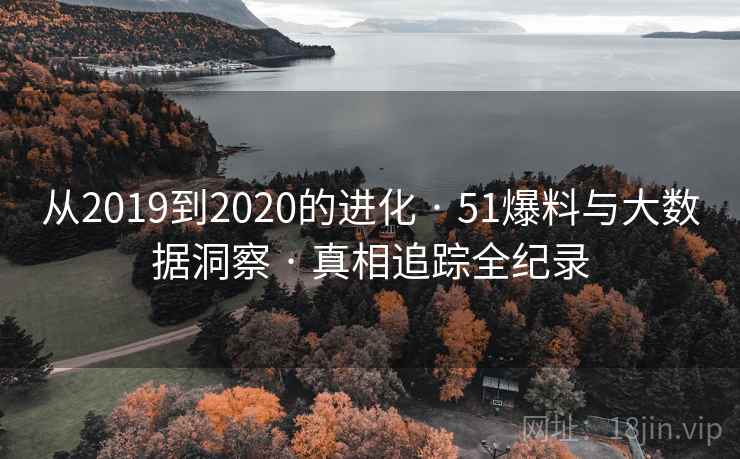 从2019到2020的进化 · 51爆料与大数据洞察 · 真相追踪全纪录 从2019到2020的进化 · 51爆料与大数据洞察 · 真相追踪全纪录