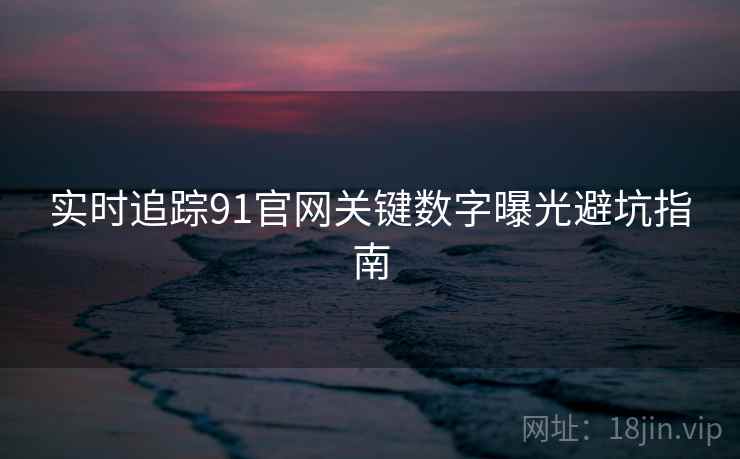 实时追踪91官网关键数字曝光避坑指南