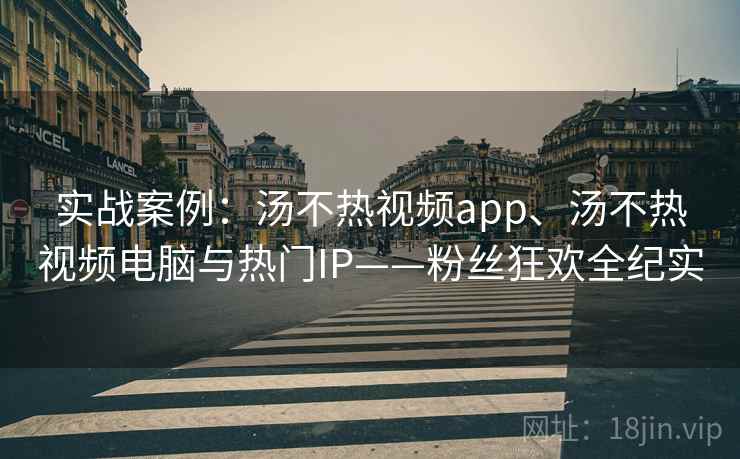 实战案例：汤不热视频app、汤不热视频电脑与热门IP——粉丝狂欢全纪实